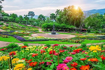 Landscaped Garden